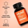 HUM Base Control Multivitamin for Women with Vitamin C, Iron, Biotin, Zinc, B Complex, Daily Women’s Multivitamin, 22 Essential Vitamins & Minerals, Support for Pre-Menopause, Gluten Free, 30 Capsules