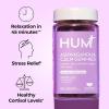 HUM Calm Ashwagandha Gummies for Women and Men, L-Theanine Ashwagandha Supplements for Daily Relaxation & Clarity Support, Vegan Fast Acting Gummy Formula, Mixed Berry Flavor, 60 Gummies(60 Gummies)