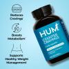 HUM Counter Cravings Chromium Supplements with L Theanine, Seaweed Extract & Forskolin to Help Support Appetite, Cravings, and Routines, Gluten Free, Caffeine Free Formula, 60 Vegan Capsules