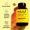 HUM Daily Wellness Essentials Bundle – Dream Team Magnesium + OMG! Omega The Great + Here Comes The Sun Vitamin D3